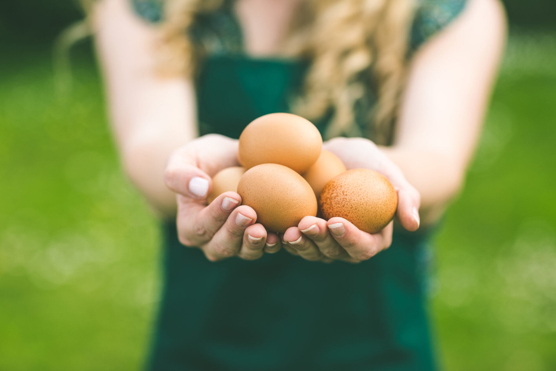 Not All Organic Eggs Are Created EqualBest & Worst Egg Brands