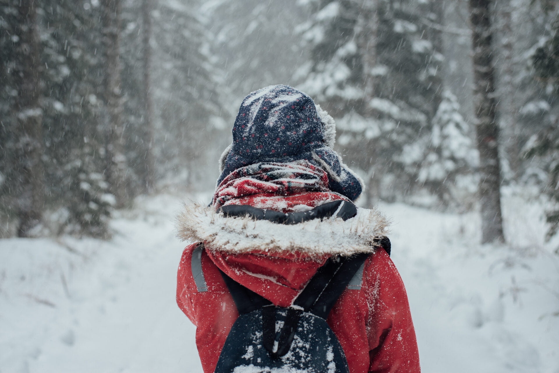 snow jacket without Pfas forever chemicals