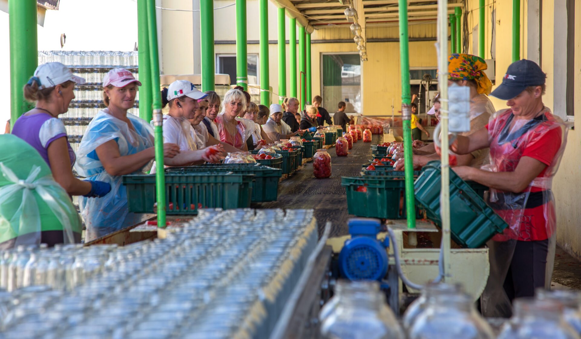 processing tomatoes for sauce in the Ukraine
