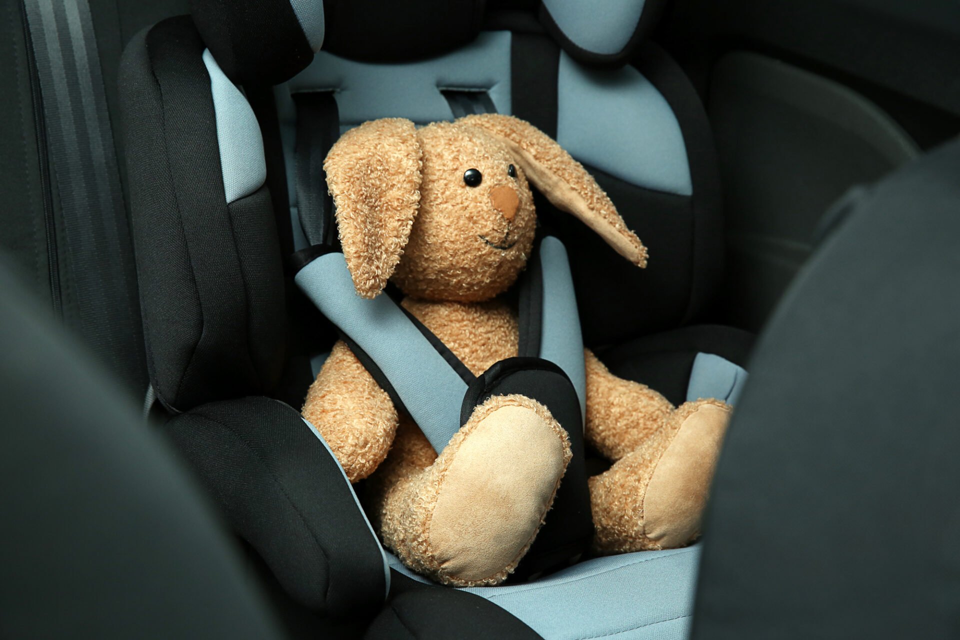 Plush bunny sitting in the child's car seat