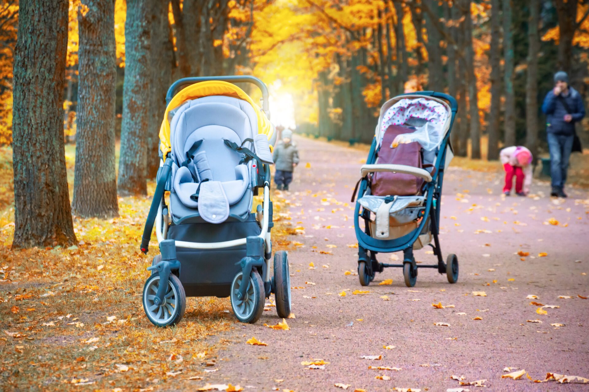 Two empty baby strollers for children stand on a path in the autumn park