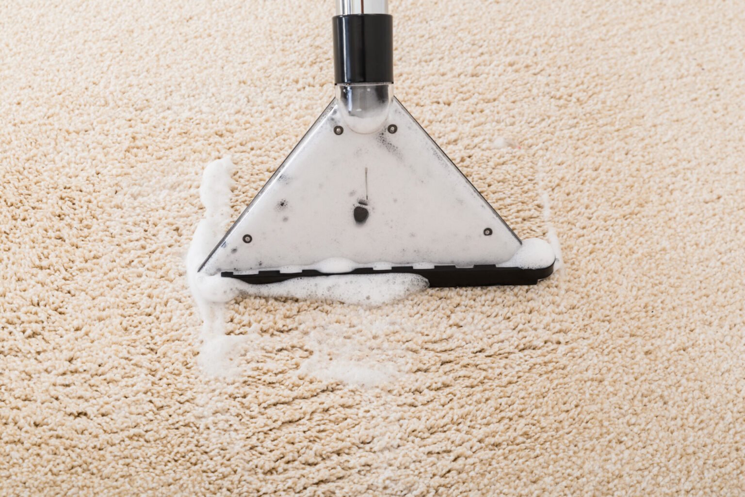 Best NonToxic Upholstery & Carpet Cleaner For Indoor Air Quality