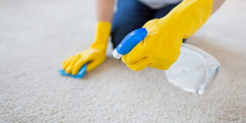 Woman cleaning carpet with a non-toxic carpet cleaner