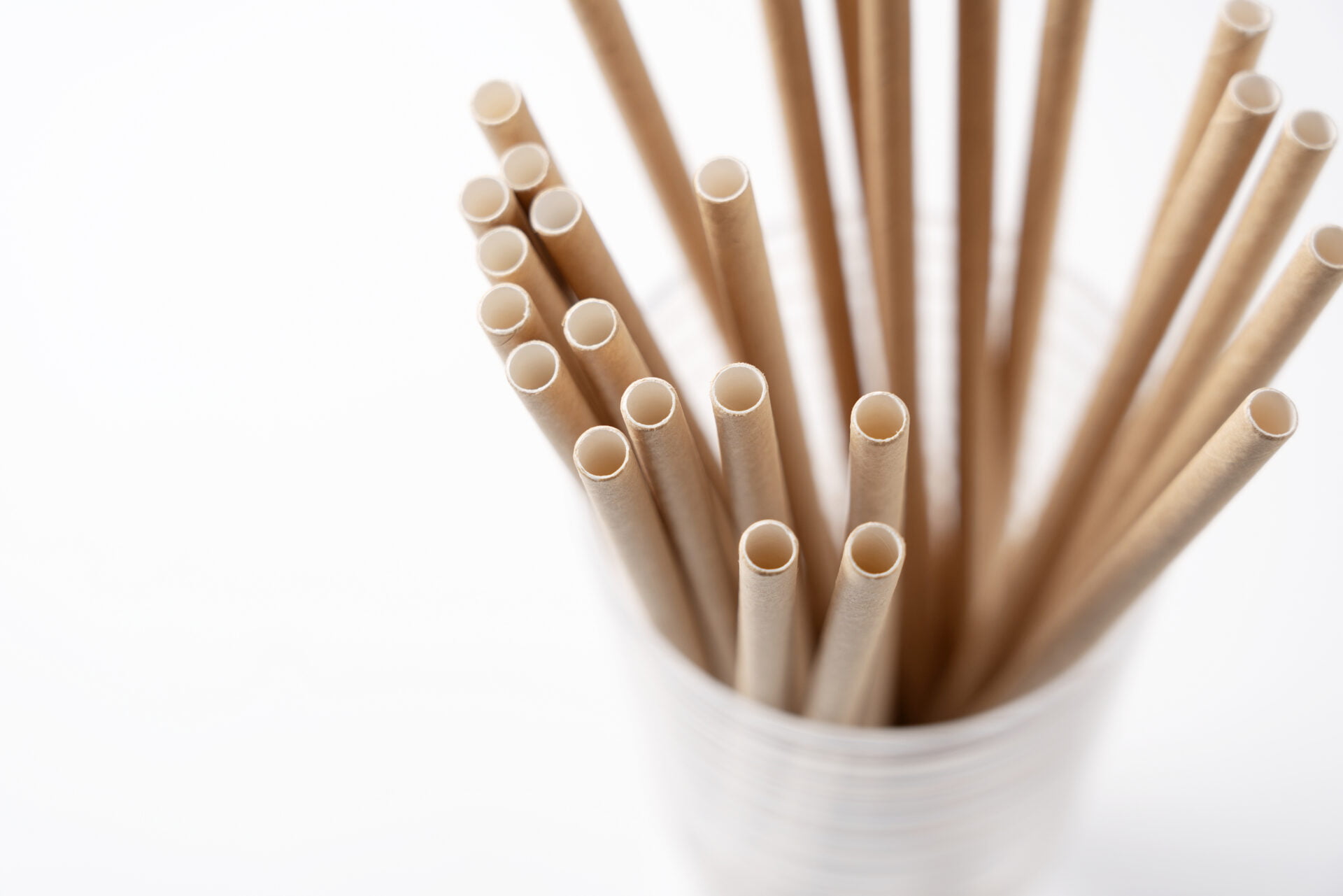 PlasticFree Disposable Straws Tested For Indications of PFAS