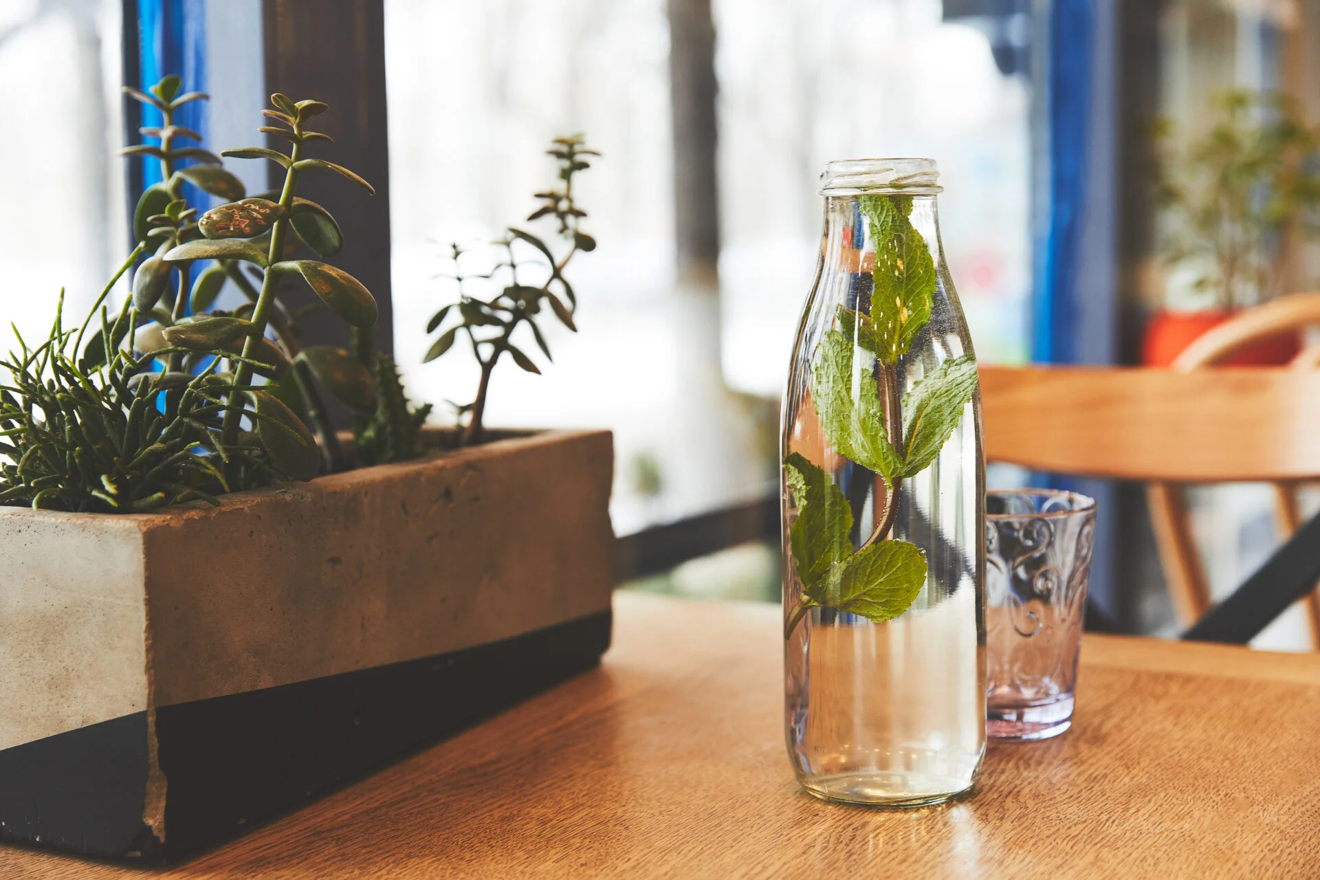 Reusable glass water bottle with mint and water