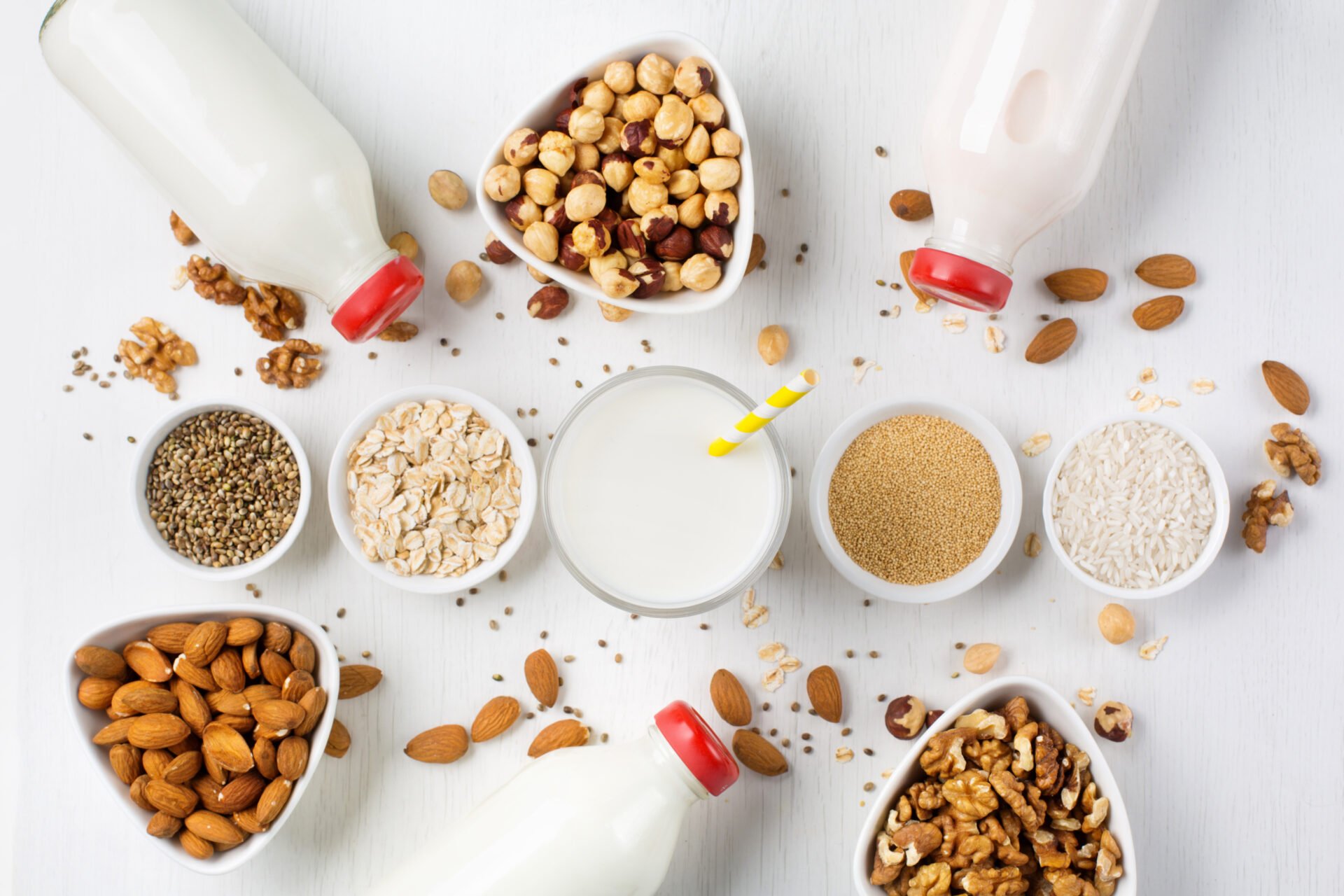 Best (& Worst) Nut Milk Makers for PlantBased Milk Alternatives