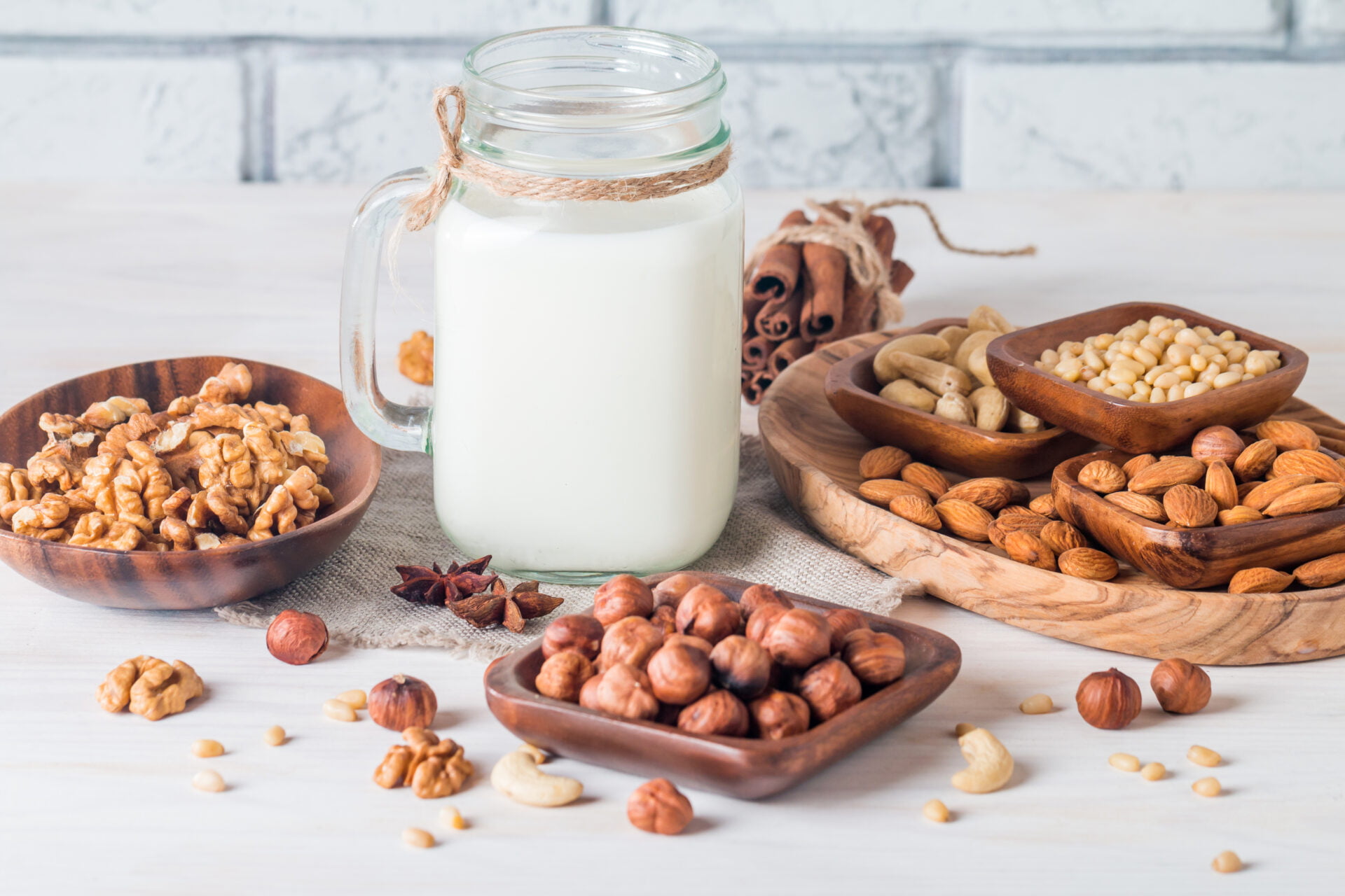 https://www.mamavation.com/wp-content/uploads/2023/07/best-worst-nut-milk-makers-for-plant-based-milk-alternatives.jpg