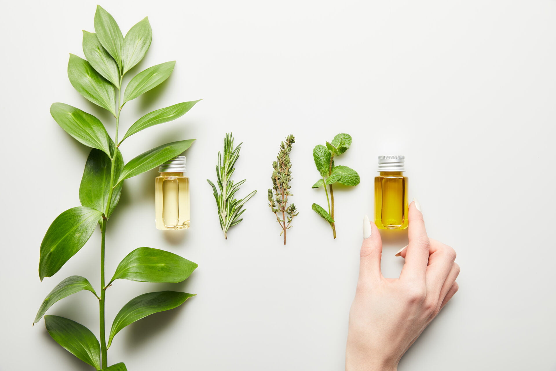 ingredients you'll find in natural body oils made from the safest ingredients