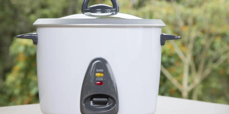 Best Possibly Worst Non Toxic Rice Cookers of 2023 MAMAVATION