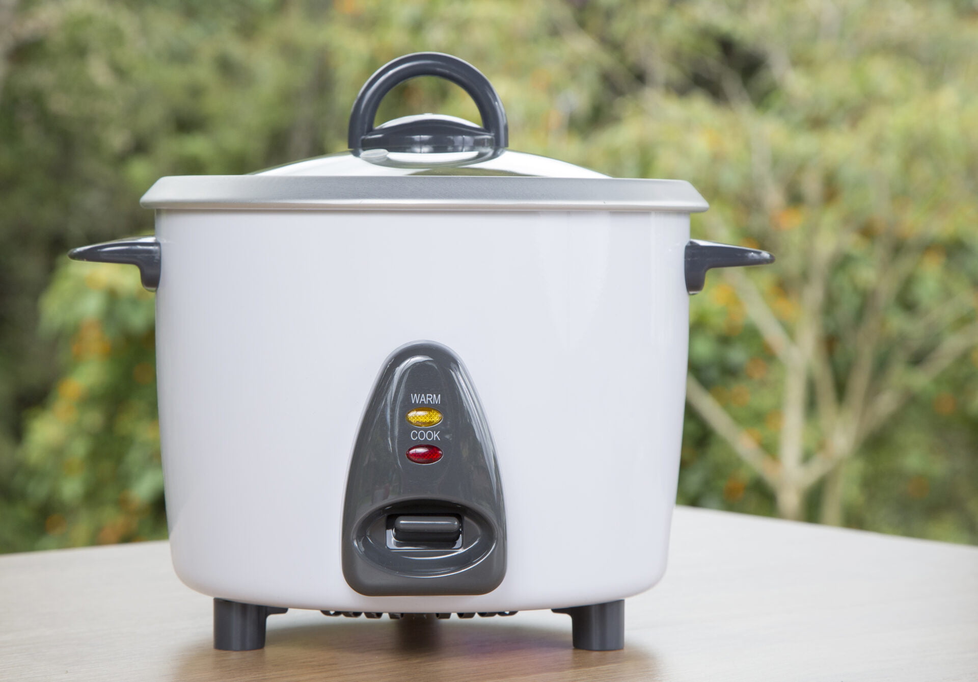 7 Best Small Rice Cookers 2024 - Portable Rice Cookers