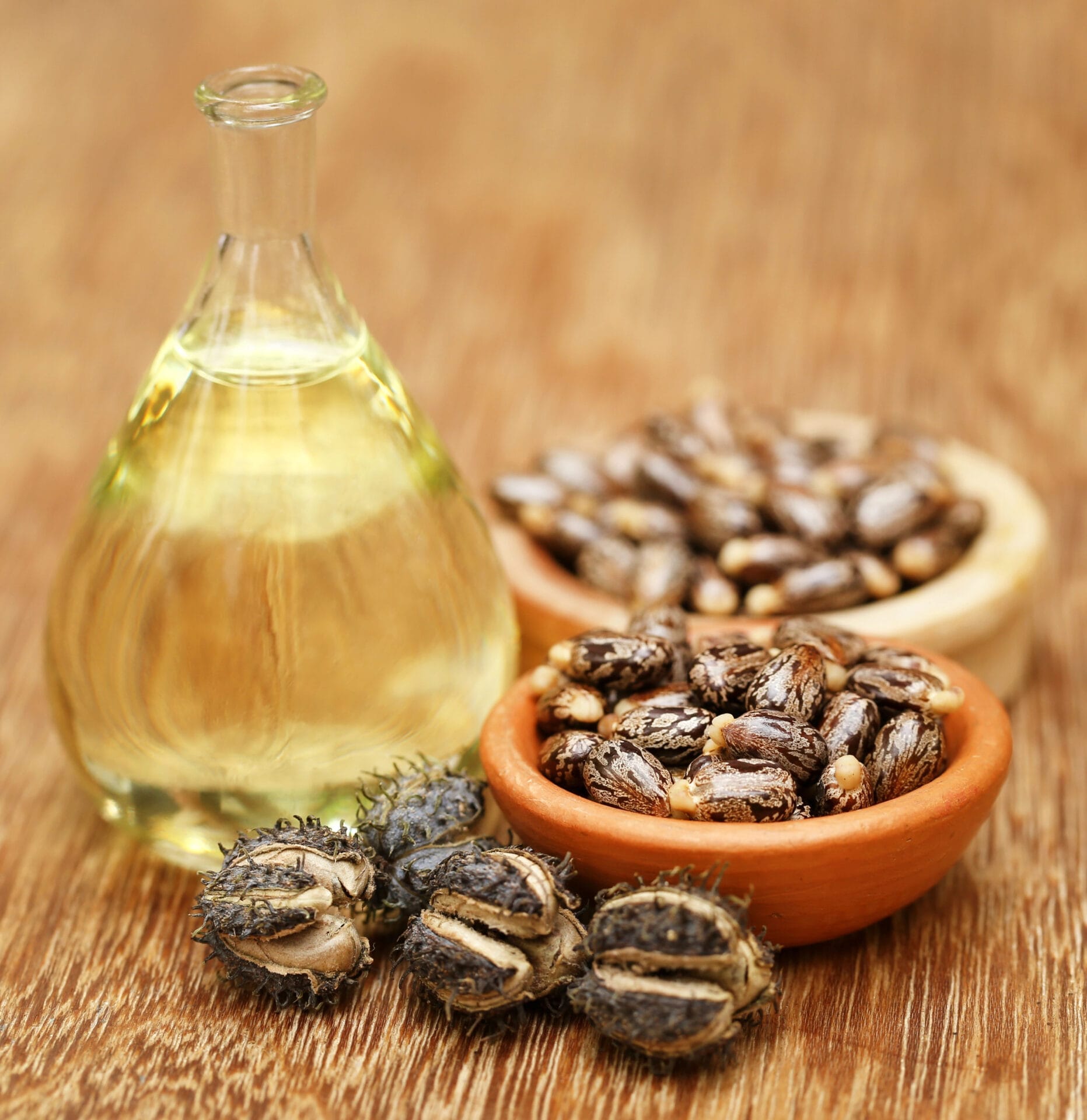 Castor oil and castor beans on a wooden table