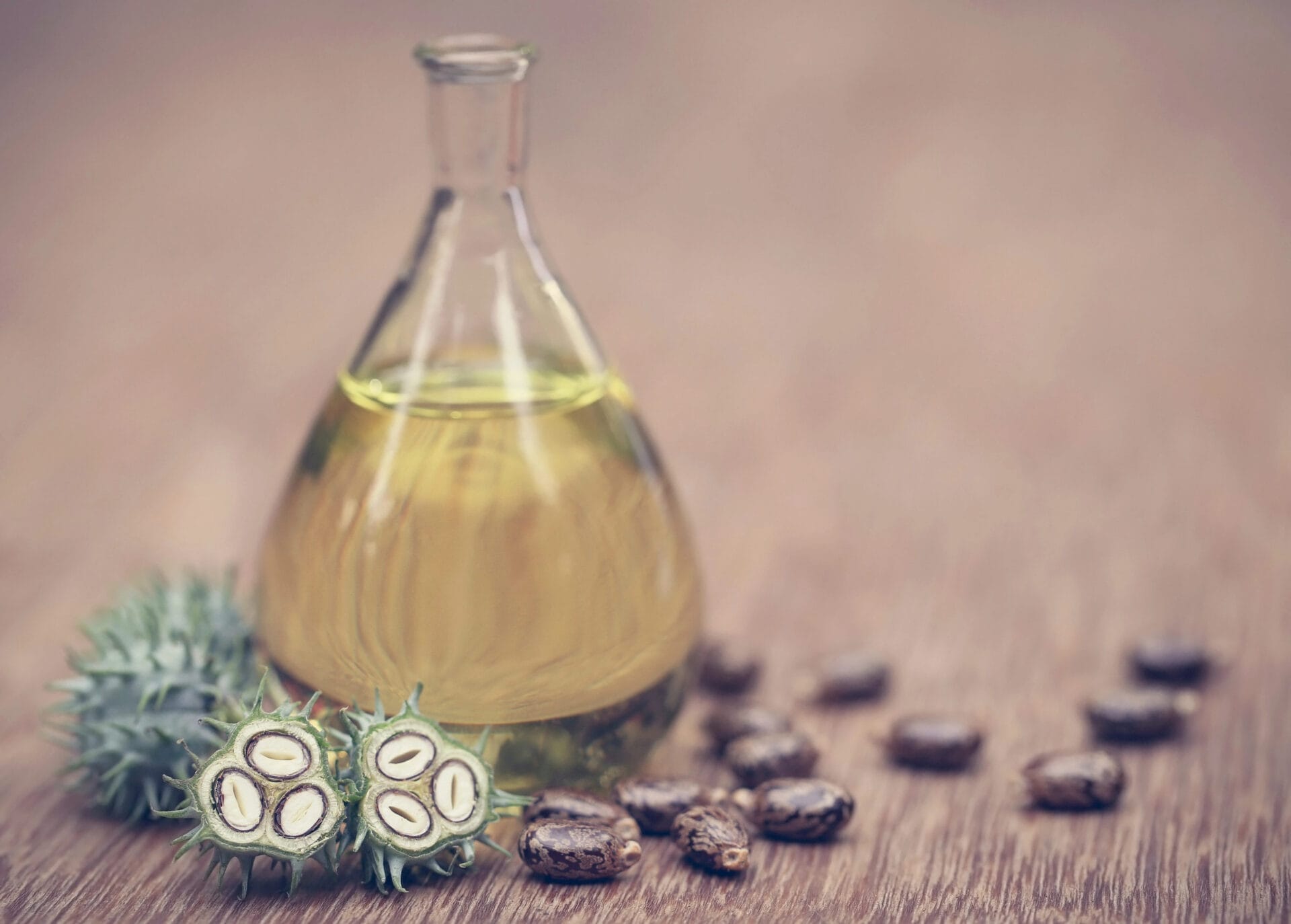 Castor oil beans and the oil in a glass bottle that will soon be tested for phthalates