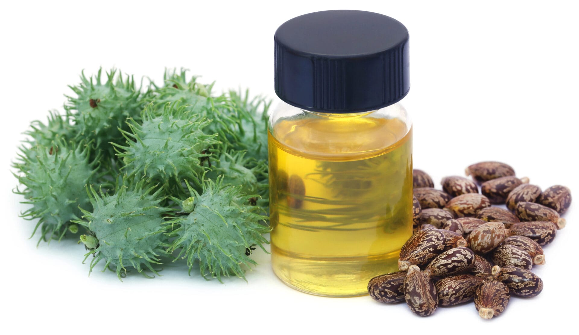 Castor Oil Tested For Toxic Phthalates