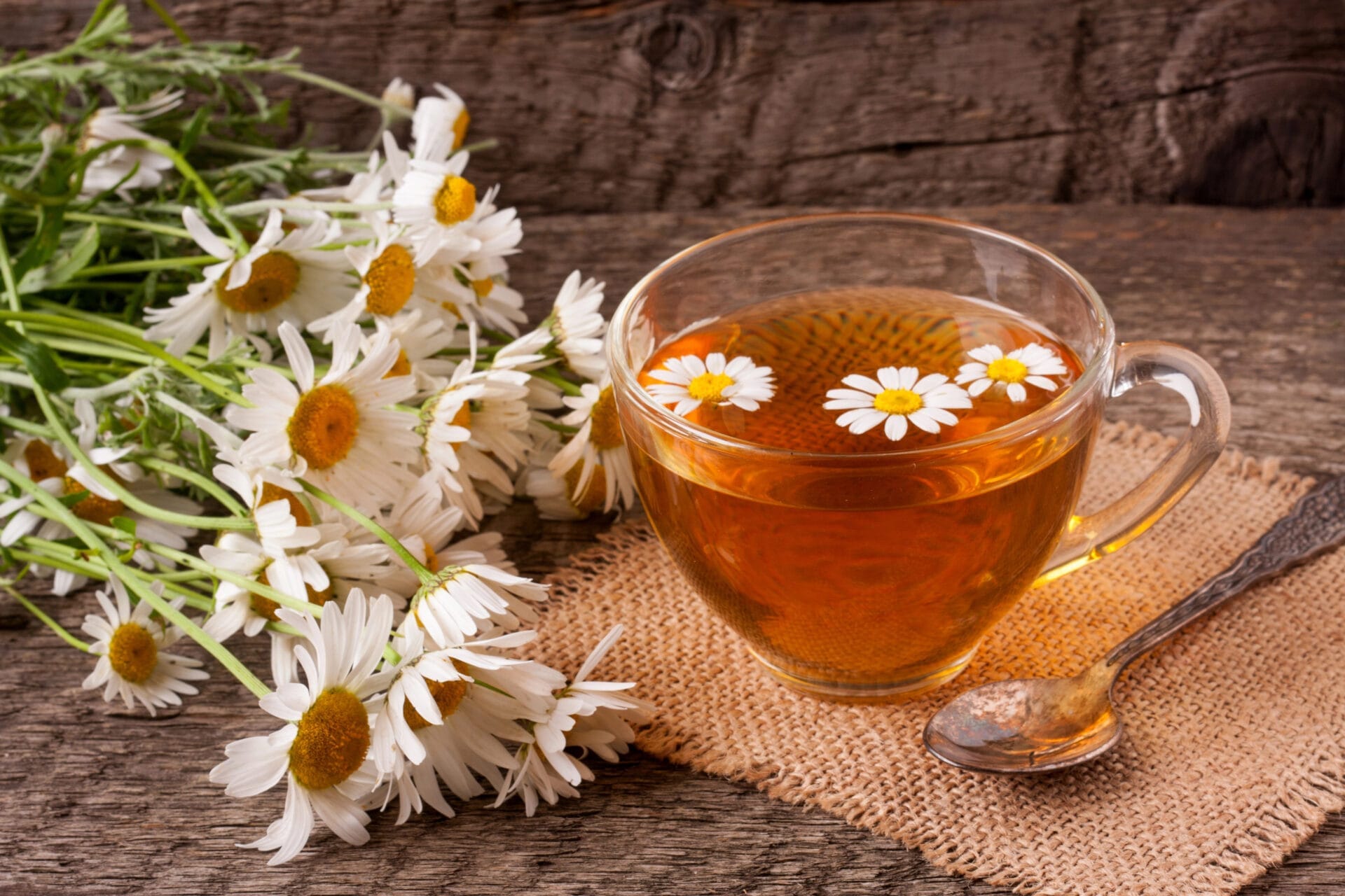 chamomile tea and flowers sitting on the table
