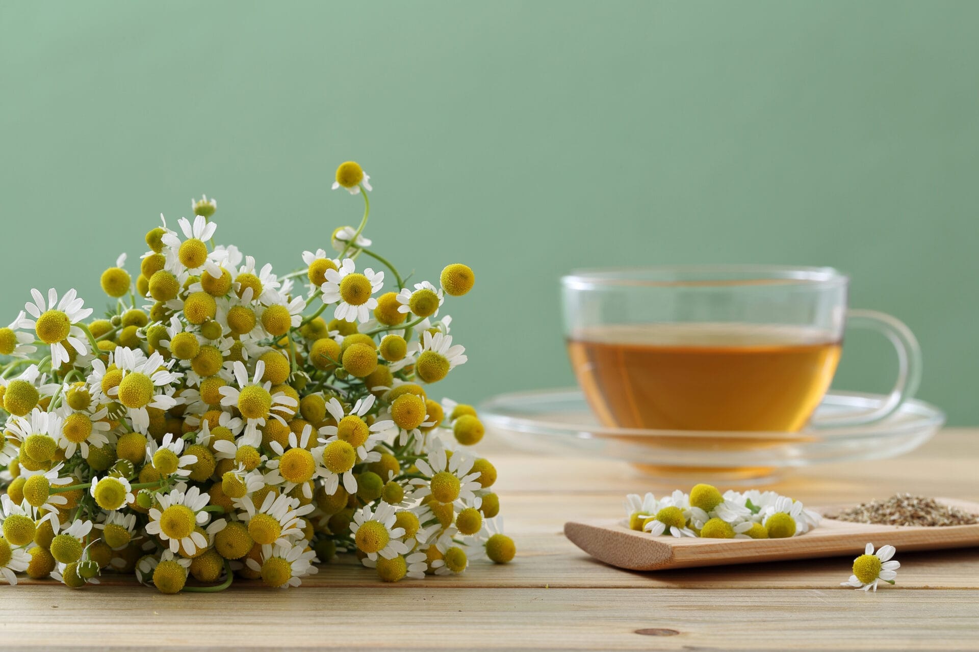 chamomile flowers and tea sitting on the wooden table against a turquoise wall