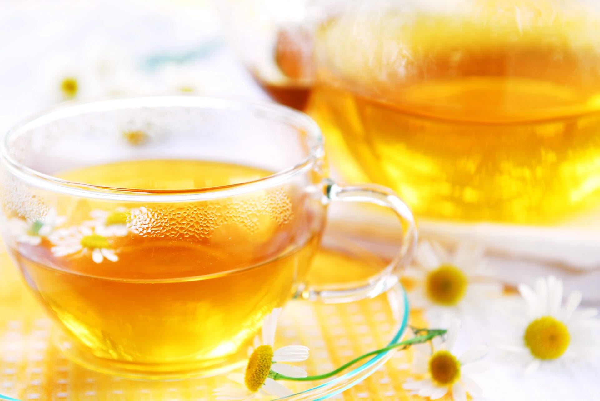 Chamomile tea sitting on the table with chamomile flowers everywhere